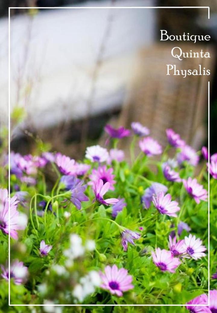 Апартаменты Boutique Quinta Physalis Fenais da Luz Экстерьер фото